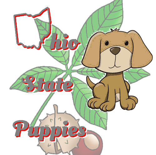 Ohio State Puppies