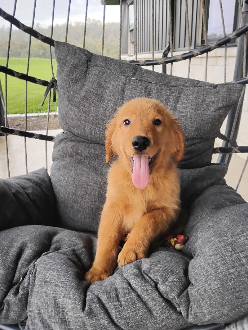 Copper