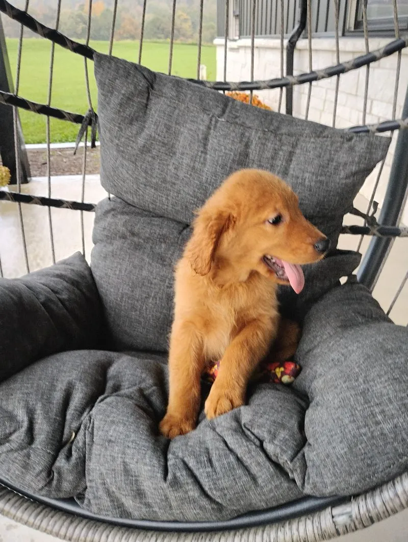 Copper