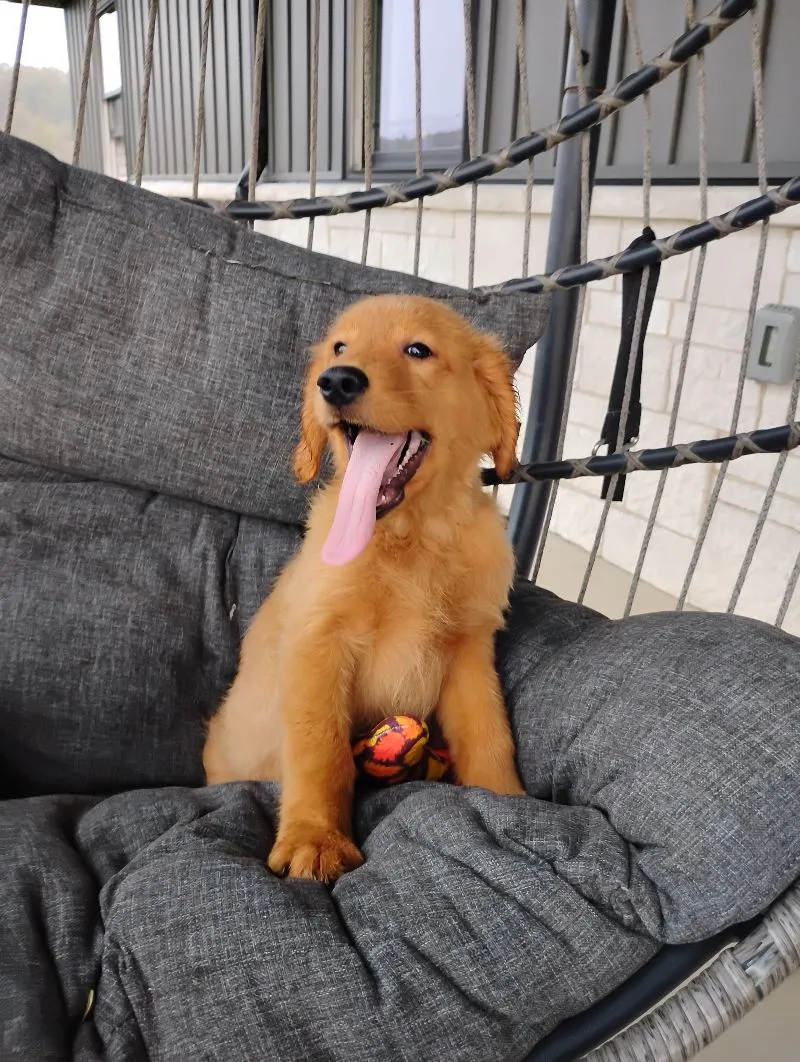 Copper